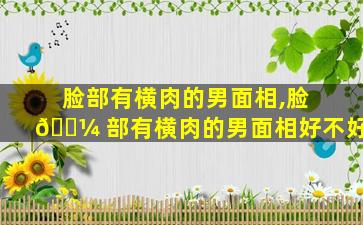 脸部有横肉的男面相,脸 🌼 部有横肉的男面相好不好